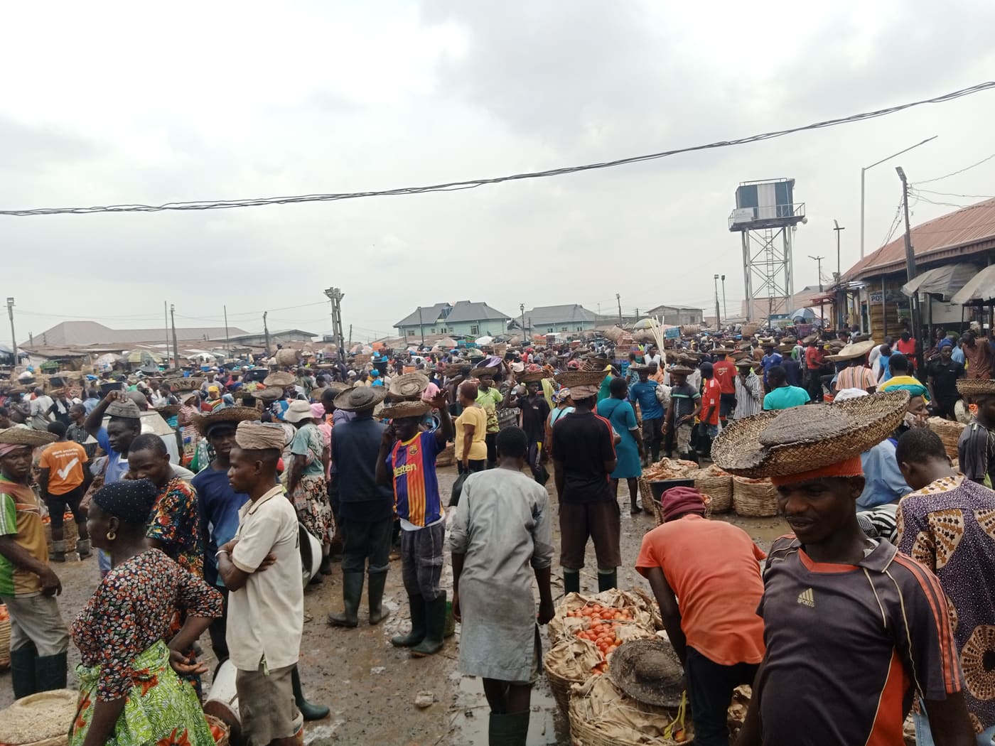 The Resilience Naija Spirit In The Face Of Economic Downturn